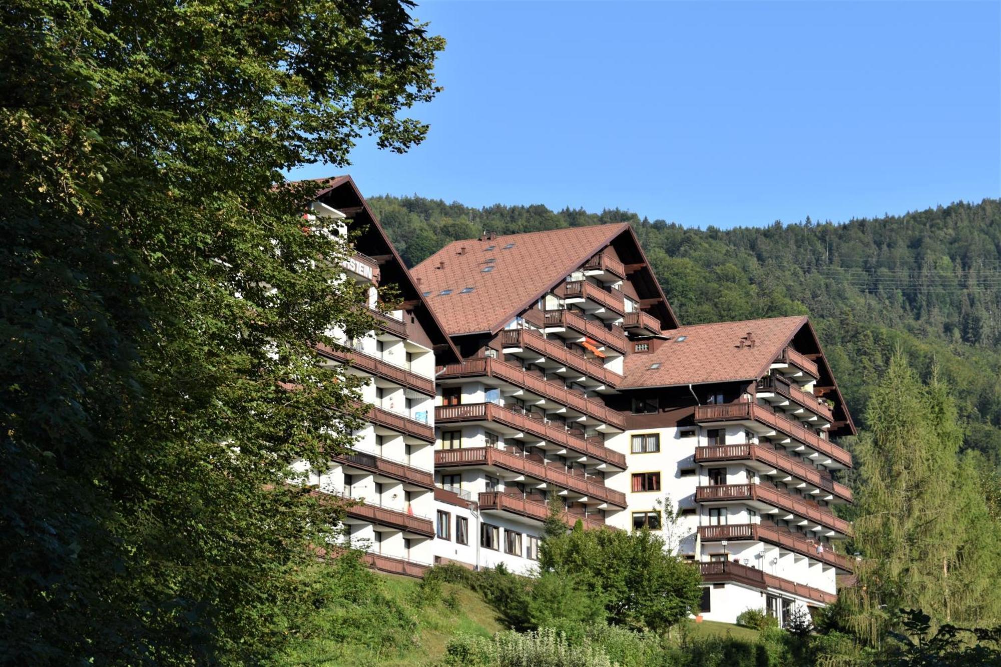 Apartment D 'Freizeit Бад Гоисерн Экстерьер фото